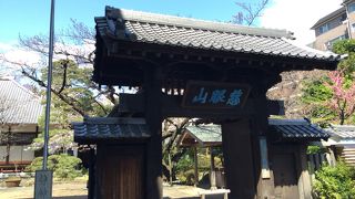 春はお花見にも良いです！