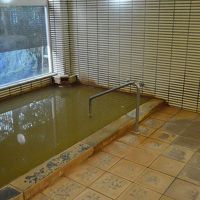 ﾅﾄﾘｳﾑ塩化物泉