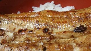 1000円札1枚でうな丼