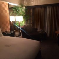 客室も落ち着いています。