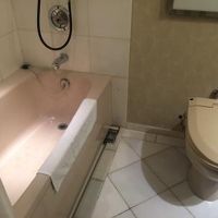 バスルームの古さは否めません。