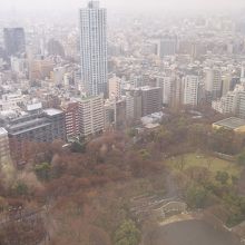 高層階から新宿中央公園方面を見る