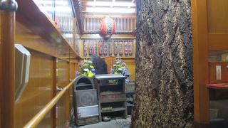 細い路地に巨木