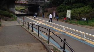 今やジョガーのメッカ的存在ですが、様々に楽しみ、憩うことができます。