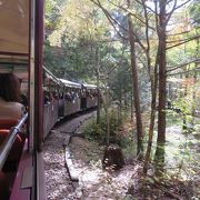 赤沢森林鉄道は森林浴発祥の地にあり、これからの時期はお勧めです