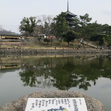 猿沢池からの五重塔