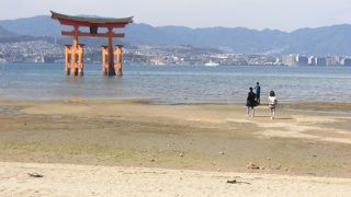 じっくり時間をかけて見るべきですね