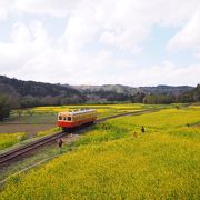 石神の菜の花畑の最寄り駅です