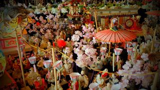 雛祭りのシーズンにオススメ！