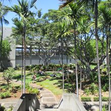 公園のようなところ