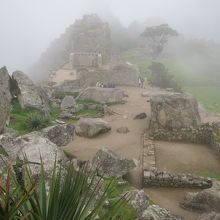 tasikani雰囲気が異なる地域