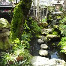 お庭もすばらしいです。