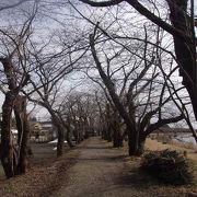 勿論桜の季節は素晴らしいかと思いますが…