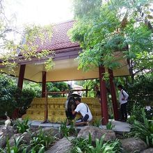 しゃがみ込み鳴らしています