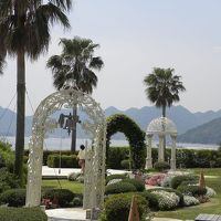 お庭はオシャレで散策に良いです