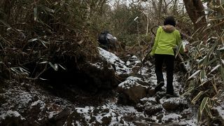 初心者でも安心