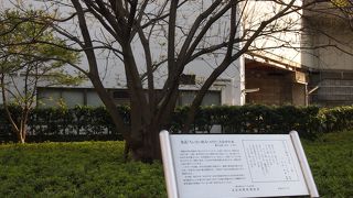 礫川公園にあります