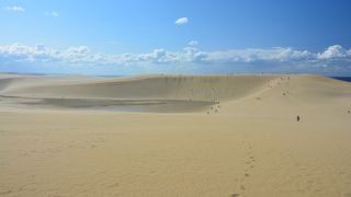 予想外のスケールにビックリ！