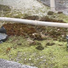 山門をはいってすぐ２頭の亀（玄武？）が見られます。