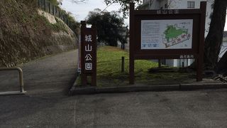 都会のオアシス