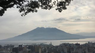 展望台から見る市内は絶景