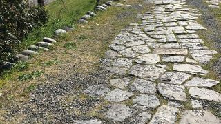 見過ごす所でした。