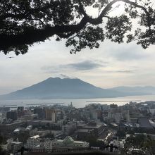 展望台からの景色