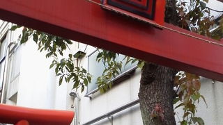 青山の高級住宅街にひっそりと