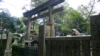 この付近神秘的な感じがします！