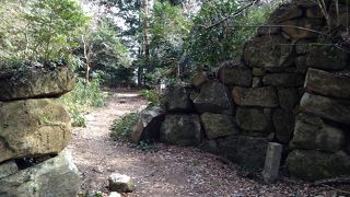 城跡めぐり:観音寺城跡、曲輪と石垣