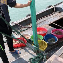 このように船に海産物を載せて売りにきます。