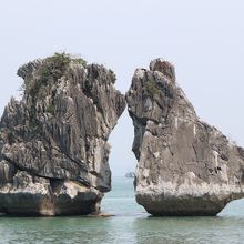 鶏がキスをしているように見えます。
