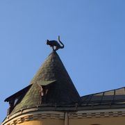 屋根の上に猫が