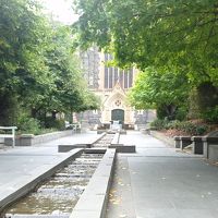 聖パトリック大聖堂へ