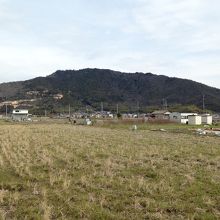 観音寺城跡全景