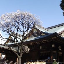 下は人人人です