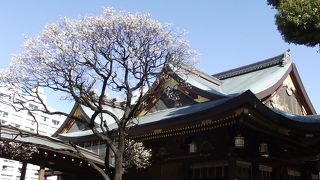 「文京花の五大まつり」 の一つです