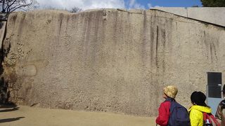 とても巨大な石です