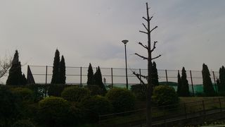 地域にある中規模の拠点公園
