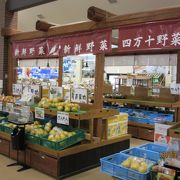 なんでもある巨大な物産館