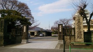 めちゃくちゃ広い境内