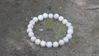 姫路城主の妹君が建立した妙心寺の塔頭寺院。