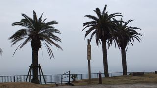 南国宮崎を象徴する景観