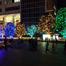 イルミネーションがきれいでした．