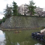 福井県庁の敷地