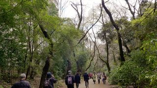 千里はありません、百メートルほどの馬場跡です