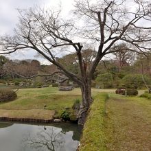 中ノ島と田鶴橋