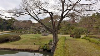 関係者以外の通行は禁止です