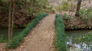 染井門の近くにある橋です