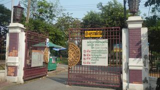 オオトカゲがいると聞いていたが見ることができなかった